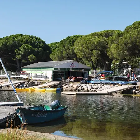 Sowell Family Grau Du Roi